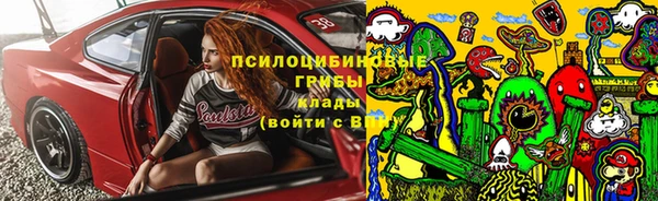 Альфа ПВП Алексеевка