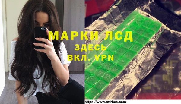 индика Алексин