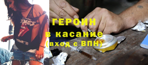 индика Алексин