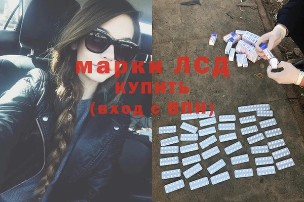индика Алексин