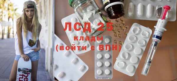 индика Алексин