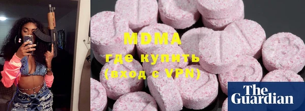 индика Алексин