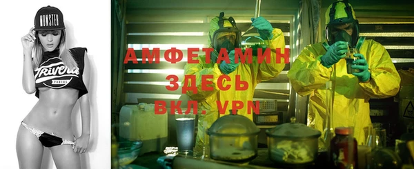 индика Алексин