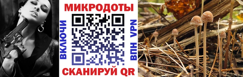 кракен ТОР купить наркоту Юрьев-Польский Псилоцибиновые грибы GOLDEN TEACHER